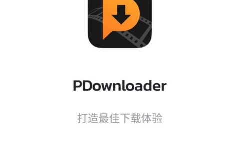 PDownloader软件安卓版1.0.32南京我想开发一个app