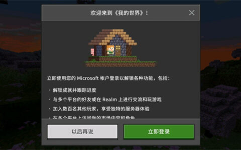 厦门一键开发app我的世界内置5D皮肤