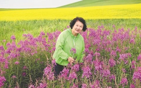 鲁迅文学奖获得者艾平：在写作上，我用一根针挖了一口井